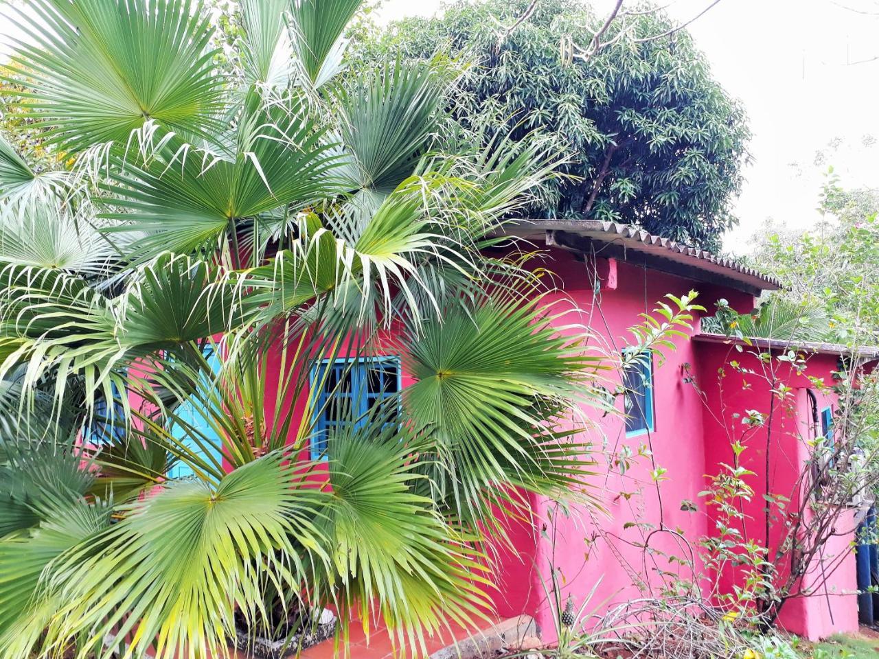 Casa Maya Santa Catalina Exteriör bild
